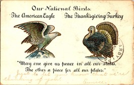 Thanksgiving Postcard National Birds Eagle Turkey Funny Saying Posted 1906 Undiv - £4.78 GBP