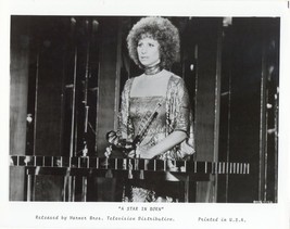 1976 A Star is Born Press Publicity Photo Barbara Streisand Movie - $5.98