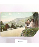 Ahrtal Kaiserstuhl bei Walporzheim Germany 1900s Postcard Unposted Vineyard - $12.91