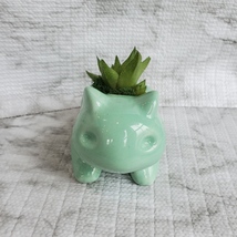 Bulbasaur Planter with Live Succulent, 4.5", Haworthia, Animal Plant Pot image 2