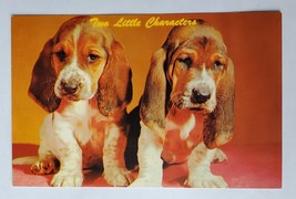 Postcard &quot;Two Little Characters&quot; Basset Hound Puppies Pups Cute Dogs - $6.71