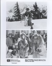 Call of the Wild Clark Gable Loretta Young Jack Oakie Buck Dog Press Photo Movie - £4.72 GBP