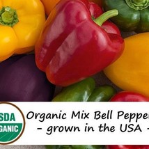 25 Organic Carnival Bell Pepper Mix Vegetable Seeds New Fresh US Shipping - $11.98