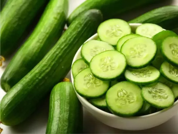 25+ Seeds Vermont Cucumbers Easy Growing Cucks Vegetable 55 Day Harvest Fresh Ga - £7.18 GBP