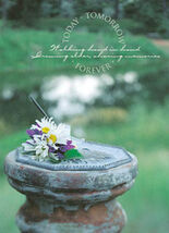 Today Tomorrow Forever Sundial Wedding Bulletins - 100 sheets - $9.05