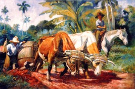 9927.Man pushing oxen to carry large barrel.POSTER.home decor graphic art - £13.62 GBP+