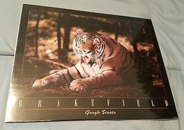Impact Images Tom Rakefield Jungle Sonata Tiger Wildlife Animal Print (NEW) - £7.86 GBP