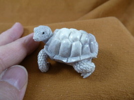 TURT-w47 little white Tortoise Turtle shed ANTLER figurine Bali detailed carving - £71.22 GBP