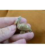 y-bir-pe-32) gray tan Pelican carving FIGURINE gem SOAPSTONE PERU love p... - £6.75 GBP