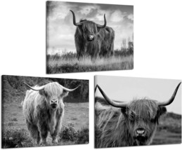 Iknow Foto Canvas Print Wall Art Black And White Freedom Highland Cow Pictures - $44.99