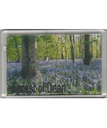 Forest of Dean Magnet ~ Made in United Kingdom - $8.91