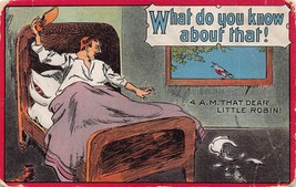 Dwig Comic Postcard What Do You Know About That Robin Waking Man Artist ... - £7.73 GBP