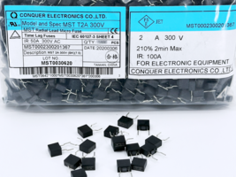 20X MST 2A 300V Conquer Slow Blow Fuse TE7 PCB THT Micro-Fuse Time Delay... - $6.45