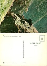 Hawaii Maui JFK Profile Rocky Cliff Green Scenery Yellow Flowers VTG Postcard - £7.53 GBP