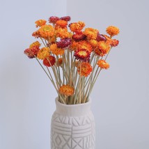 Dried Daisies, Home Decoration,DIY Flower Arrangement 20 Pcs - £31.17 GBP