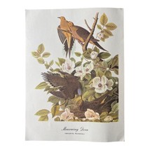 Audubon Print Mourning Dove Roger Tory Peterson 9x12 Litho Vintage Birds - £6.06 GBP