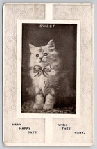 Sweet Kitty Kitten Cat with Bow Many Happy Days Postcard H27 - £5.55 GBP
