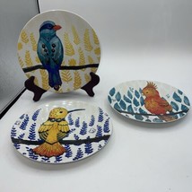 Pier One Tropical Bird 8&quot; Decorative Plate Yellow Bird cockatoo, humming... - £23.06 GBP