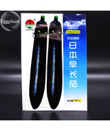 Imported Japanese Early Black Long Egg Vegetable Seeds 300 Seeds - $10.99