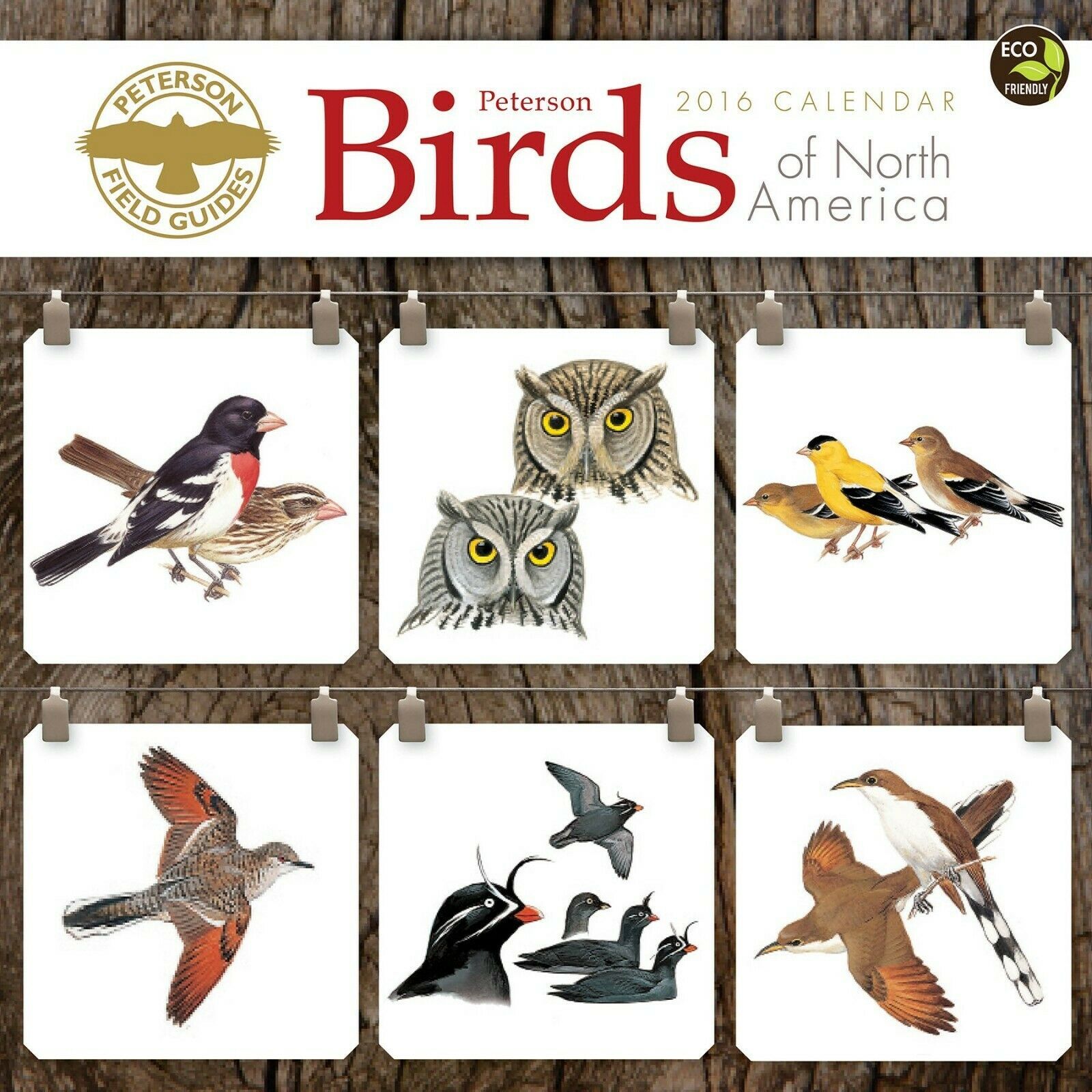 Primary image for 2016 Peterson Field Guide Birds Wall Calendar