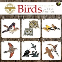 2016 Peterson Field Guide Birds Wall Calendar - £6.99 GBP