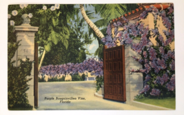 Postcard Florida Landscape Purple Bougainvillea Vine Linen Era Flowers Gate - $7.00