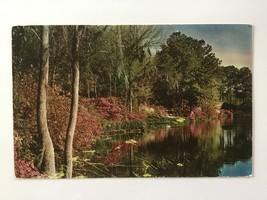  Vintage Postcard Unposted ✉️ Belingrath Gardens Scene Mobile Alabama Usa - £1.95 GBP