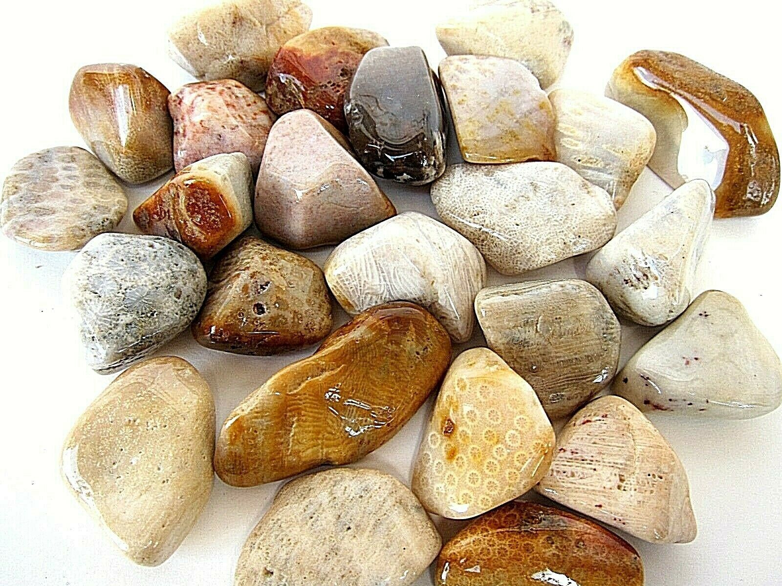 One Coral Agate Tumbled Stone 30-40mm Reiki Healing Crystal Heart Family... - $2.77