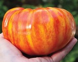 30 Seeds Big Rainbow Tomato Seeds Heirloom Organic Non GmoFresh Rare Fas... - $8.99