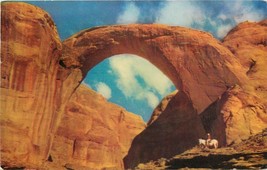 Std Chrome Postcard AZ D719 Rainbow Bridge Arizona Utah Horse Cancel 1955 - £4.06 GBP