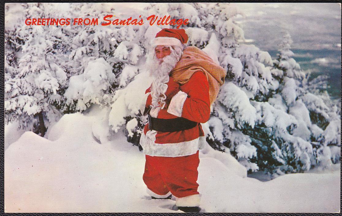 Primary image for Santa Claus in Snow-Covered Forest - Santa's Village, NH Color Postcard