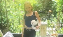 Bichon Frise shaped shoulder or hand bag fitted with a tartan coat - $40.00