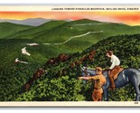 Pinnacles Mountain Skyline Drive Virginia VA UNP Linen Postcard N25 - £2.70 GBP