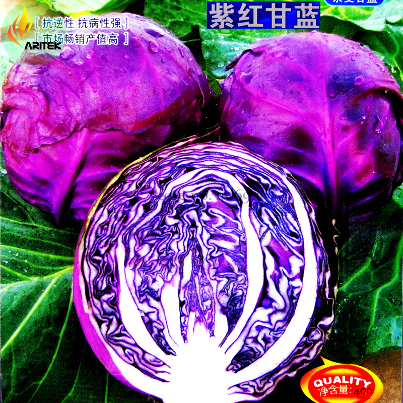 Purple Cabbage Brassica Oleracea Hybrid Vegetables 400 Seeds - $9.99