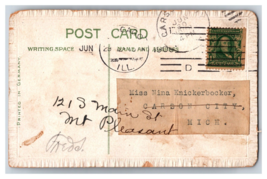 Embossed Velvet Red Rose Applique Add On 1909 DB Postcard S16 - £3.09 GBP