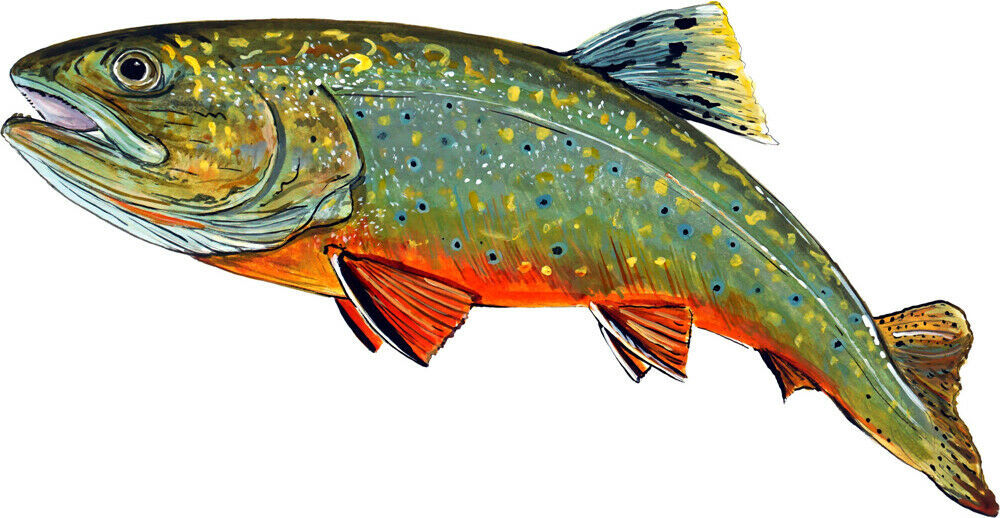 Brook Trout Fish High Quality Art Decal Truck Boat Cooler Cup Kayak Tack... - $6.95+