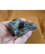 (Y-BIR-RA-400) BLACK RAVEN CROW skull Labradorite figurine bird Noir ravens - $977.14 MXN
