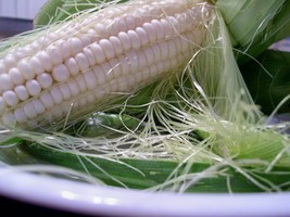 Silver Queen Sweet Corn Seeds, White Sweet Corn F1 Hybrid, Free Shipping - £1.82 GBP+