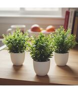 4 Pack Fake Flowers Small Artificial Faux Plants Indoor in Plastic Macar... - €16,26 EUR