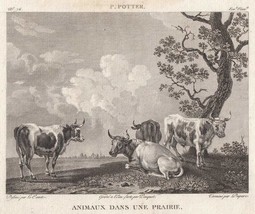 Paulus Potter Animaux dans une prairie Art Print Antique 1814 - £53.76 GBP