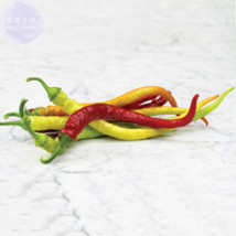 Sweet Pepper Corbaci Turkish Seeds 50 Seeds Pack Organic Tasty Vegetables E4184  - $5.34