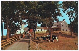 Postcard The Amish Homestead Lancaster Pennsylvania - £3.10 GBP