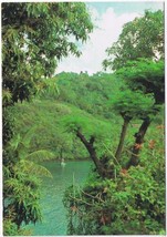 Postcard Grenada West Indies Halifax Harbour - £5.45 GBP