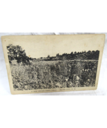 B&amp;W  Postcard The Arts Shop Silver City N.M New Mexico Poppy Fields Albe... - $56.09 MXN