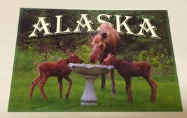 Mother &amp; Baby Moose Enjoying The Alaskan Summer New Unused Alaska Post Card - £4.95 GBP