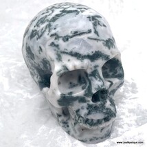 Large Dendritic Moss Tree Agate Crystal Skull Drusy Caves New Beginnings  - $499.00