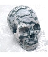 Large Dendritic Moss Tree Agate Crystal Skull Drusy Caves New Beginnings  - $499.00