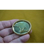 (B-bear-371) walking Grizzly bear oval dot trimmed brass pin pendant lov... - $337.37 MXN