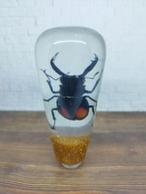 Underwater Real Insect Beetle Horn Gear Shift Knob Acrylic Resin_c122 - £74.47 GBP