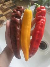 Item image 1 image 1